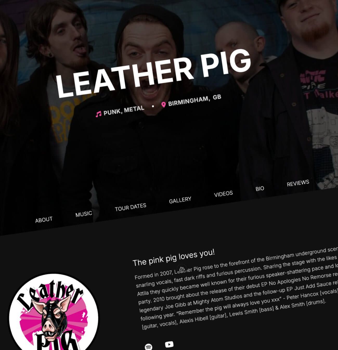 Professional band website example