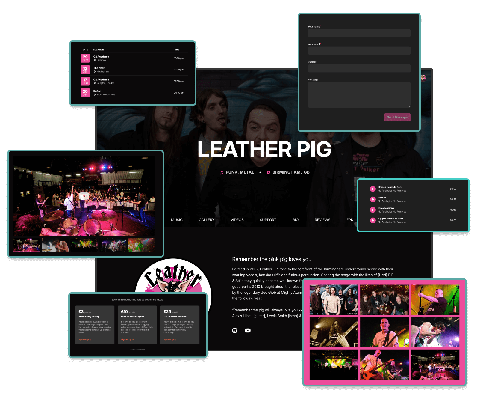 Professional band website example